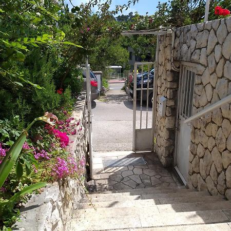 Apartmani Marta Mlini Εξωτερικό φωτογραφία